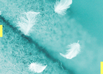 What Is Down Alternative and Who Should Buy It? Experts Explain (2025)