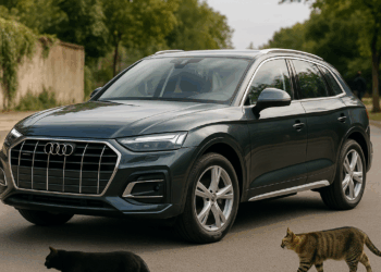Audi Q5: Mejor que nunca