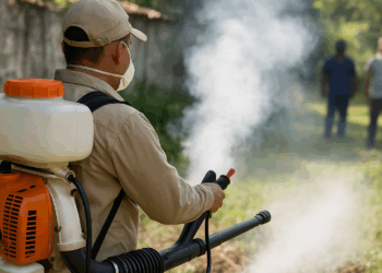 Ayto Pide A Morelian@s Que También Hagan Lo Suyo Para Eliminar Al Mosco Del Dengue  - Changoonga.com