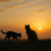 un viaje cercano a las 24 horas donde se presenciará el amanecer en dos ocasiones. – Dimension Turistica Magazine