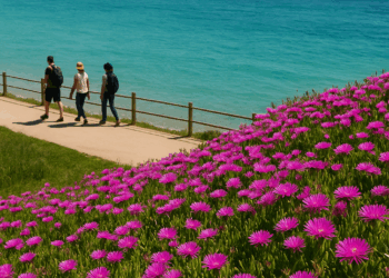 Las agencias de viajes y los touroperadores buscan el vínculo entre las aguas azules y el turismo de paisajes florales.