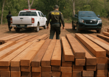 Ubican más de 130 piezas de madera en operativo de Profepa y Marina