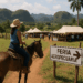 Aumentan las expectativas para la feria de Turismo Rural y Agroturismo en Cuba (+fotos) – Dimension Turistica Magazine