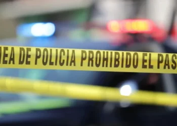 Hallan tres cadáveres en Palmar de Bravo