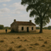 misterio en la habitación, silencio de testigos y un caso que impactó al planeta. – Dimension Turistica Magazine