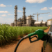 Francesa NetZero construirá en Brasil planta de biocarbón a base de caña de azúcar
