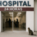En CDMX Inauguran El 1er Hospital Para Mascotas Disponible Las 24 Hrs - Changoonga.com