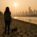 Al Gore on China's climate rise: 'I would not have seen this coming’