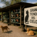 La Gran Carpa