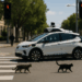 TechCrunch Mobility: The two robotaxi battlegrounds that matter