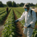 MAHA Wants Action on Pesticides. It’s Not Going to Get It From Trump’s Corporate-Friendly EPA