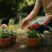 El mejor abono casero para hacer florecer plantas según jardineros expertos