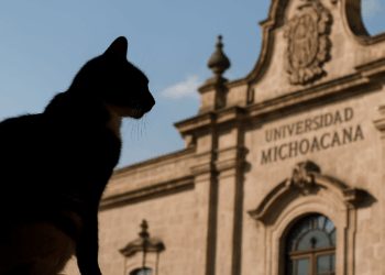 La Universidad Michoacana Es Grande, Es Fuerte Y Se Defiende Sola: Yarabí Ávila - Changoonga.com