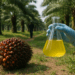 Two vials of oil sit against a leafy backdrop.