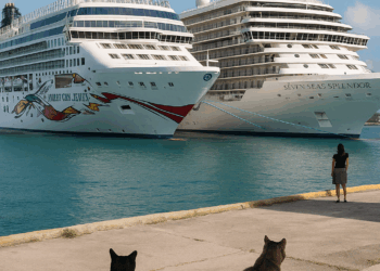 Norwegian Jewel y Seven Seas Splendor Juntos – Dimension Turistica Magazine