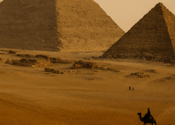 historia, origen y precio aproximado – Dimension Turistica Magazine