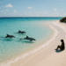 aguas turquesas, delfines y total tranquilidad para vacacionar