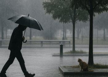 Estados en los que caerá más agua clima de hoy 2 de septiembre