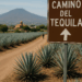  La Secretaría de Turismo impulsa la Ruta Valle del Tequila de Jalisco – Dimension Turistica Magazine
