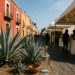 Puebla, sede del Encuentro Nacional de Mezcal 2025