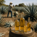 Puebla, líder en producción de mezcal