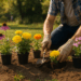 Planta estas 4 flores antes de que termine el verano para tener un jardín bonito en otoño