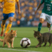 Tigres vs León en vivo: Liga MX, Apertura 2025 hoy | en directo - AS México