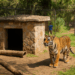 Gracias Al Ingreso Obtenido En Vacaciones El Zoo De Morelia Renovará Albergues - Changoonga.com