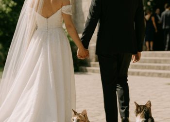 ¡Selena Gomez y Benny Blanco han contraído matrimonio! Descubre las primeras imágenes aquí. – Dimension Turistica Magazine