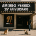Así se celebrará el 25 aniversario de Amores Perros: reestreno en cines, exhibición y más