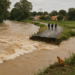 Siguen 307 localidades incomunicadas tras lluvias