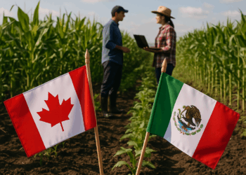 Canadá busca fortalecer la cooperación agrícola con México en visita ministerial