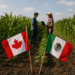 Canadá busca fortalecer la cooperación agrícola con México en visita ministerial
