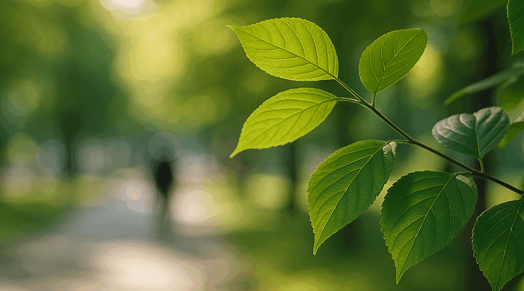 por qué la luz indirecta hace la diferencia entre hojas verdes o quemadas