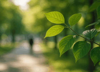 por qué la luz indirecta hace la diferencia entre hojas verdes o quemadas