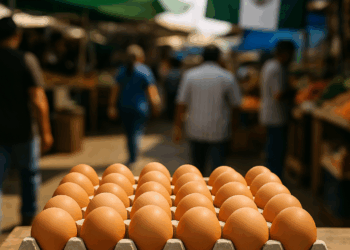 Precio del huevo en los diferentes estados de México