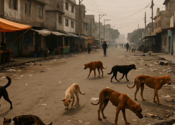 José Cueli: Neza, tiempo de caos