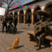 #Michoacán En Quiroga Ya Esperan A Gente De Disney Para La Creación De 'Coco 2' Con Escenarios De Santa Fe - Changoonga.com
