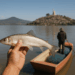 Pescado Blanco De Pátzcuaro Ya Tiene Denominación De Origen, Pero Casi No Hay Peces: COMPESCA - Changoonga.com