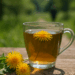 ¿Puede el té de dientes de león realmente ayudarte a reducir la hinchazón? – Dimension Turistica Magazine