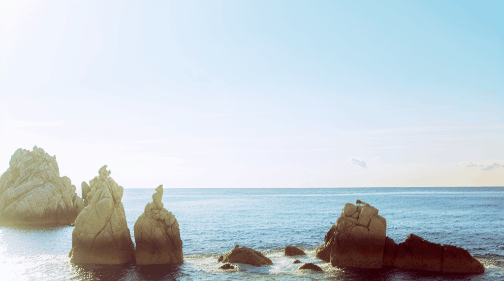 hospitalidad, detalle y excelencia sin límites