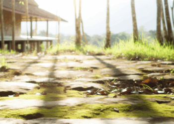 Ley de Economía Circular: crecimiento con apellidos