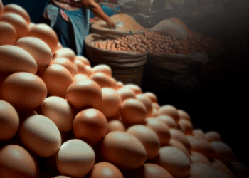 Precio del huevo en México para la segunda semana de noviembre de 2025