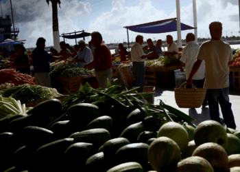 Edomex, Nuevo León y Yucatán, los estados con la mayor racha de crecimiento económico
