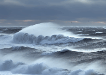 Bajas temperaturas y evento “Norte” en Golfo por Frente Frío 16; pronóstico SMN