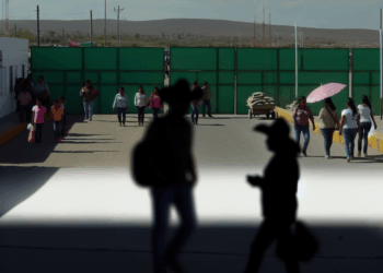 Encuentran a siete cadáveres en los límites entre Zacatecas y San Luis Potosí