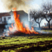 Explosión e incendio en la colonia Los Olmos, Pesquería en Nuevo León