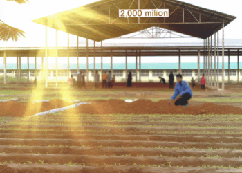 Morena busca reasignar más de 2,000 millones de pesos para agricultura, medio ambiente y educación