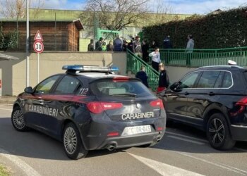 Tragedia en una guardería: un niño de dos años se queda enganchado a una rama y muere estrangulado con la sudadera