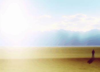 Osa Mina sigue recuperándose tras su rescate del Zoológico La Pastora